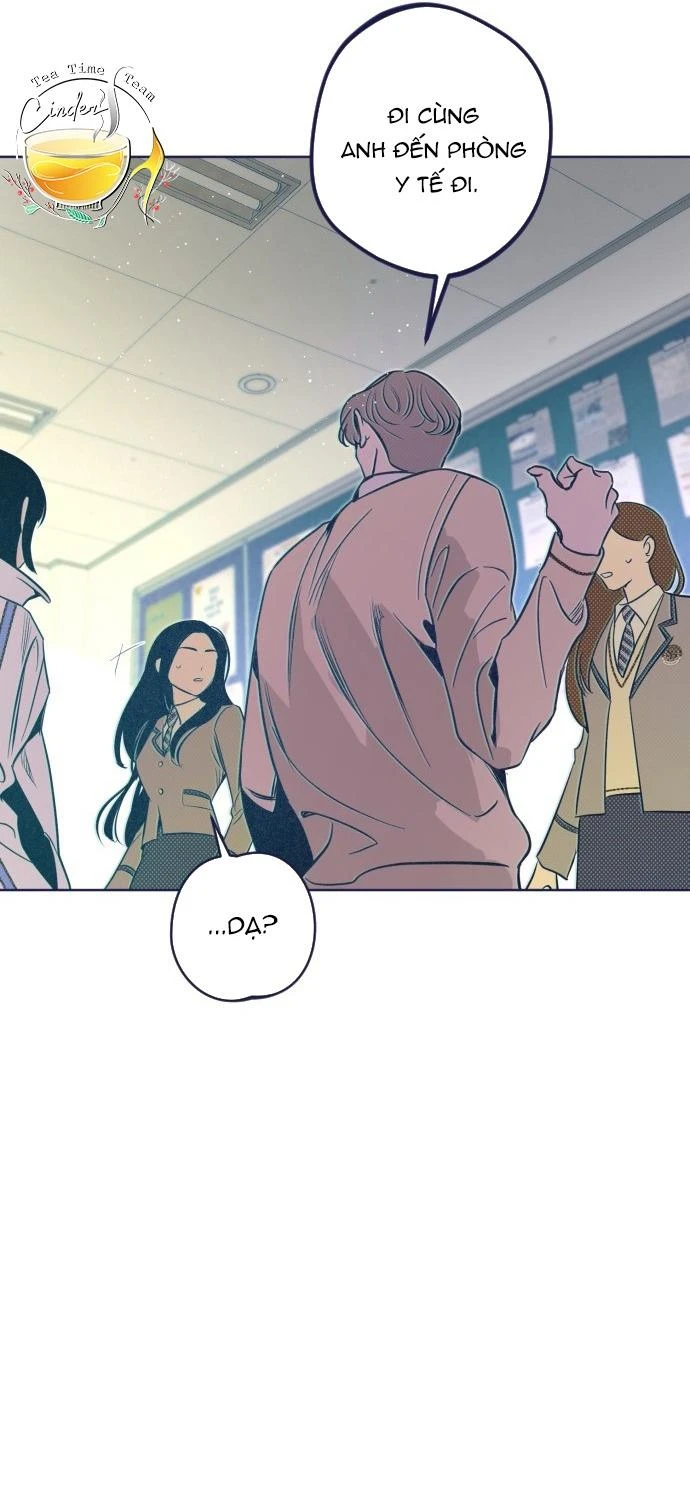 Trắc Nghiệm 4 Lựa Chọn Chapter  17 - 26
