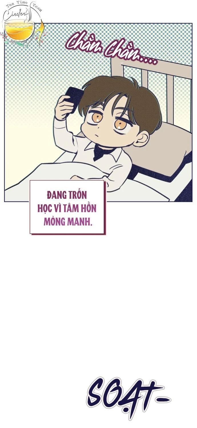 Trắc Nghiệm 4 Lựa Chọn Chapter  17 - 35