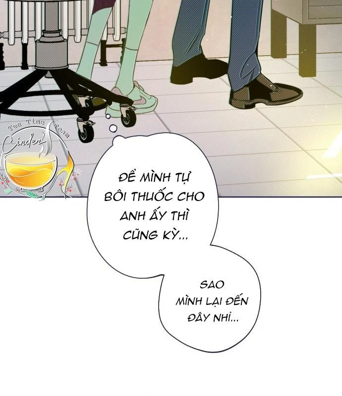 Trắc Nghiệm 4 Lựa Chọn Chapter  17 - 41
