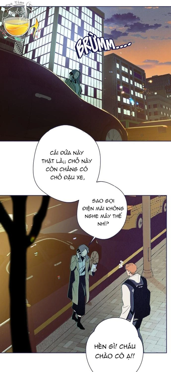 Trắc Nghiệm 4 Lựa Chọn Chapter  17 - 76