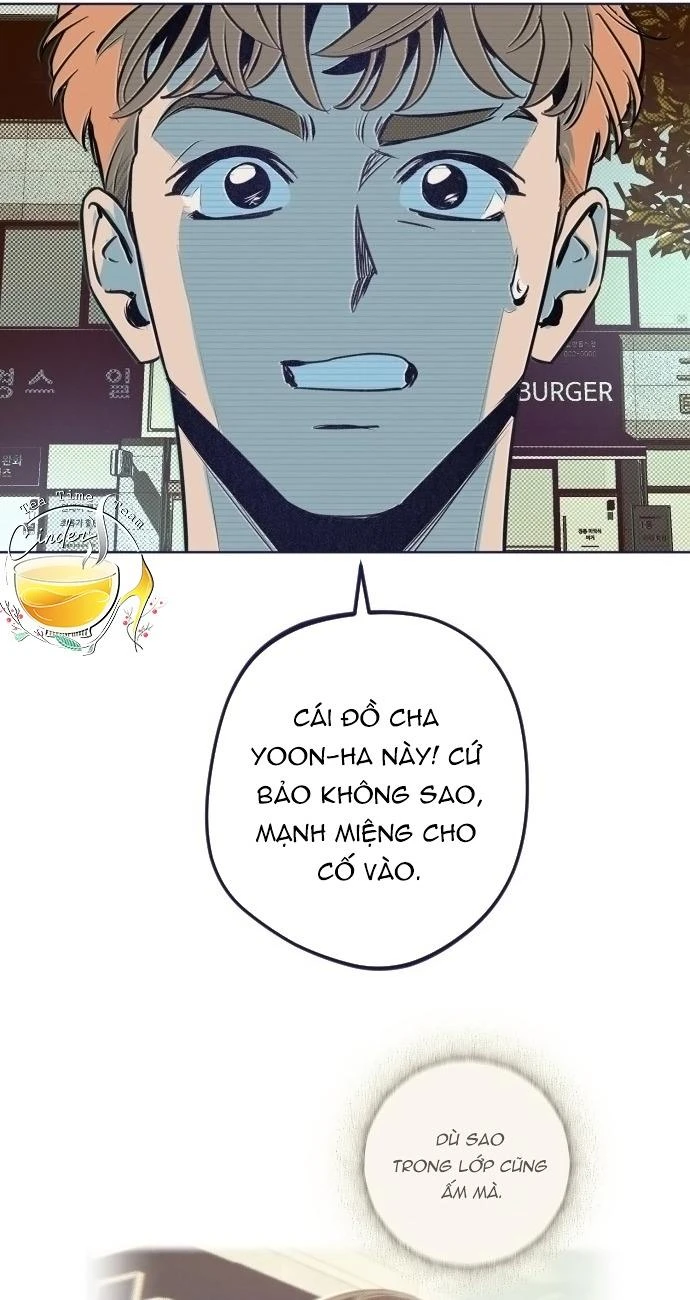 Trắc Nghiệm 4 Lựa Chọn Chapter  17 - 81