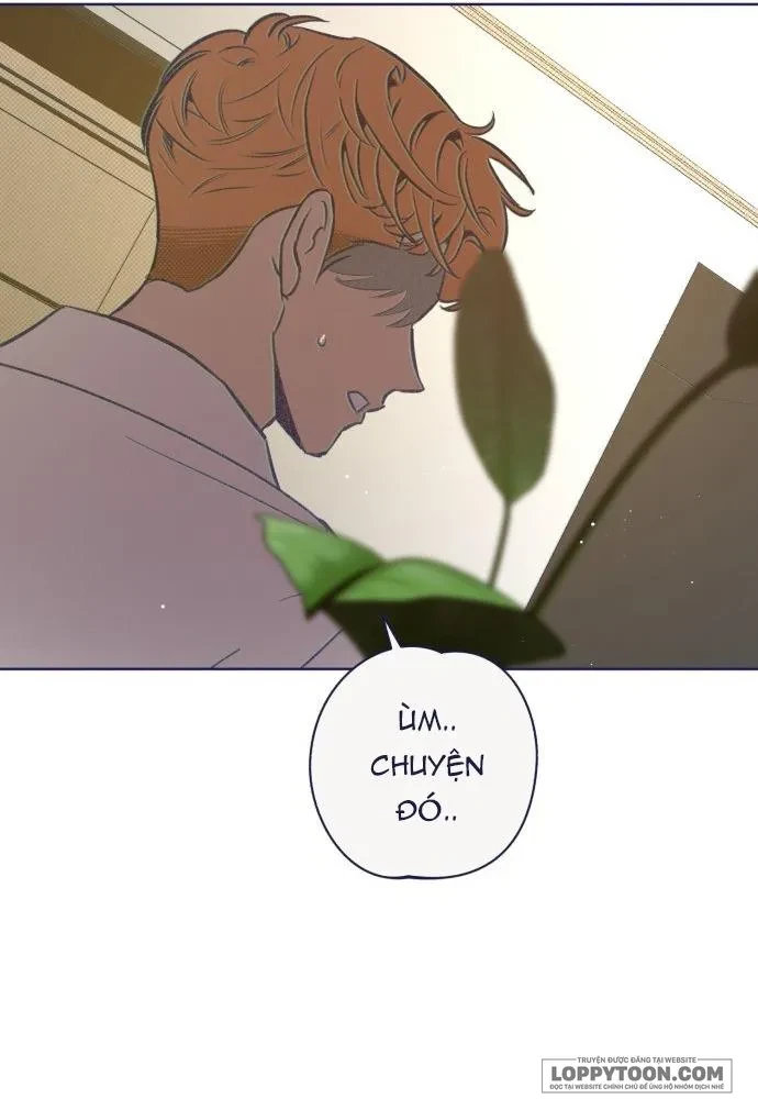 Trắc Nghiệm 4 Lựa Chọn Chapter 24 - 58