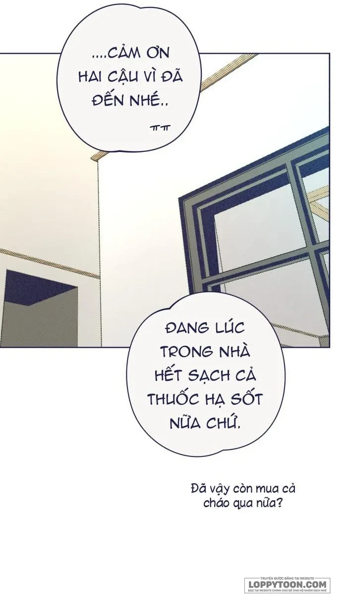 Trắc Nghiệm 4 Lựa Chọn Chapter 31 - 12