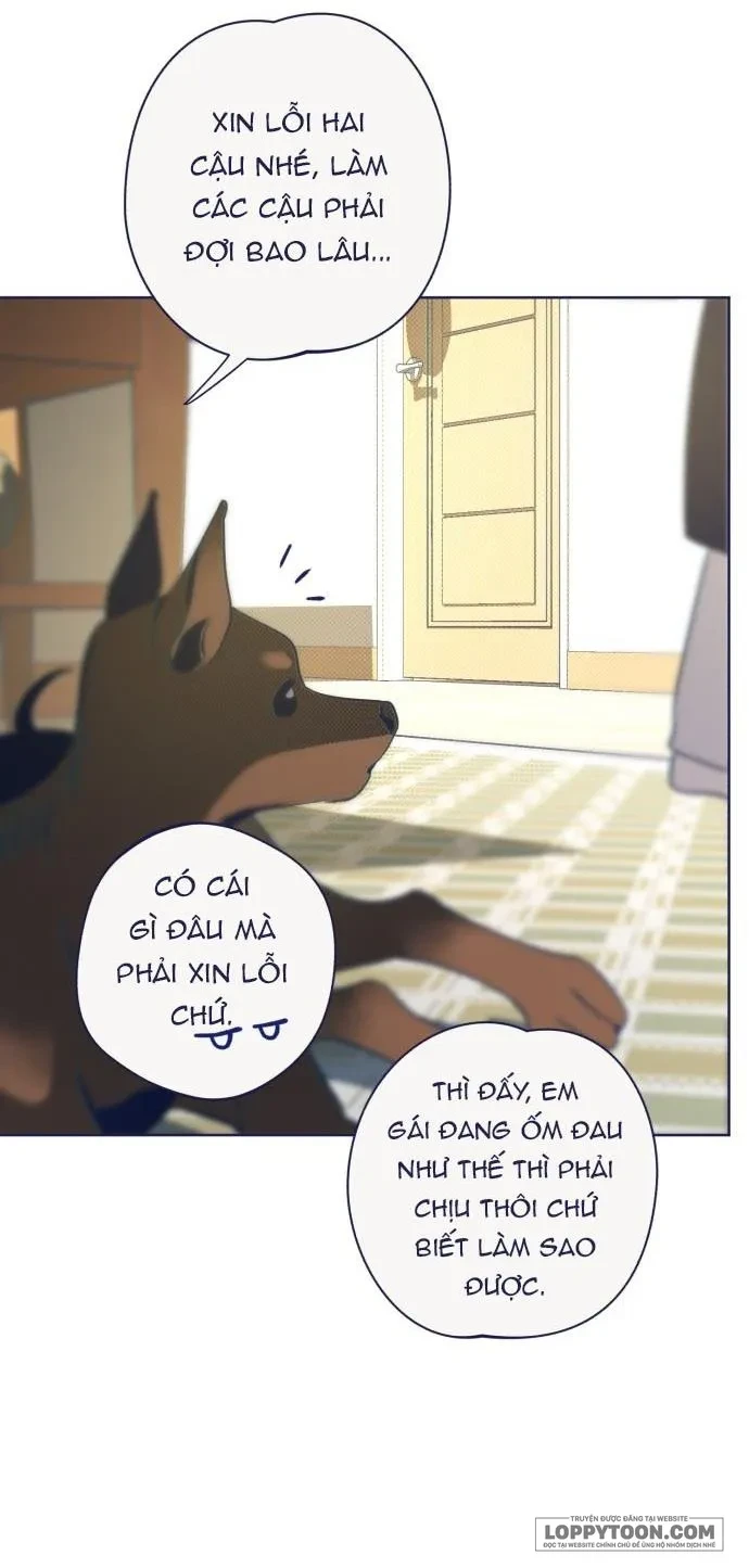 Trắc Nghiệm 4 Lựa Chọn Chapter 31 - 51