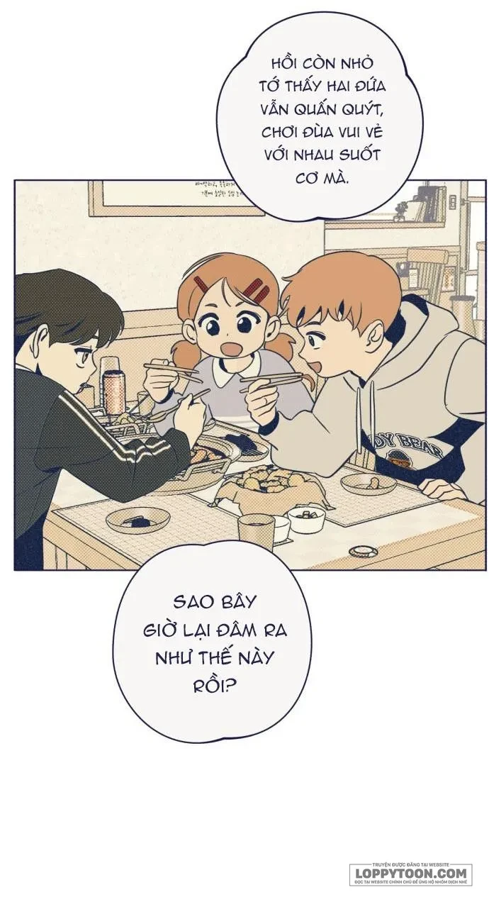 Trắc Nghiệm 4 Lựa Chọn Chapter 32 - 18