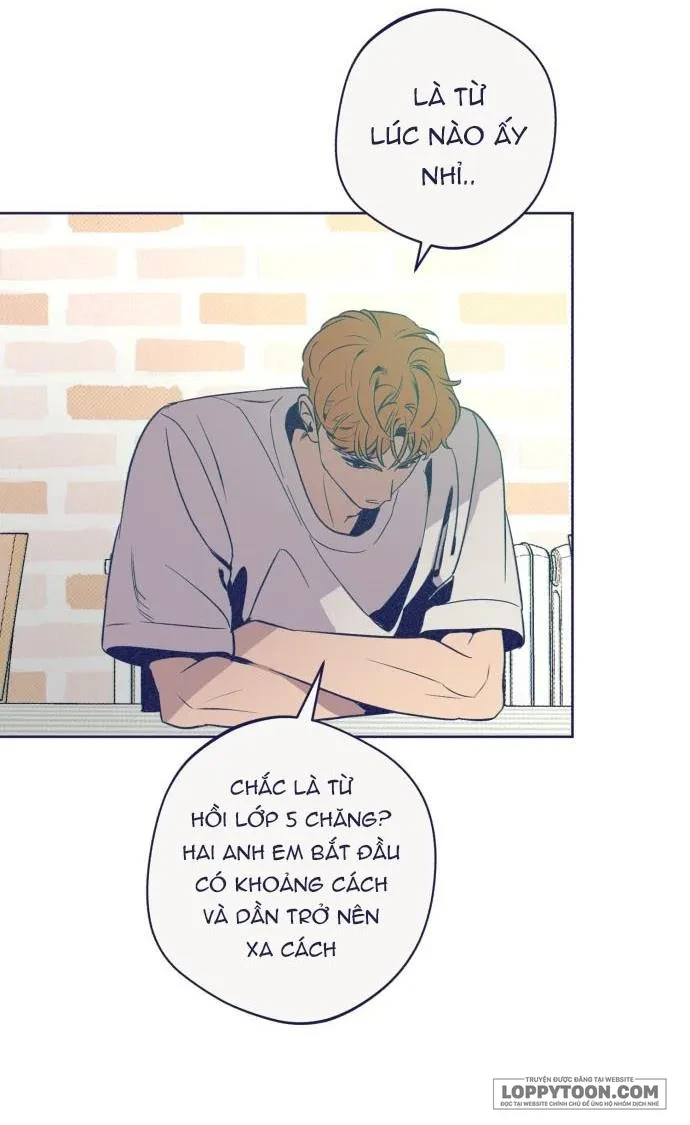 Trắc Nghiệm 4 Lựa Chọn Chapter 32 - 19