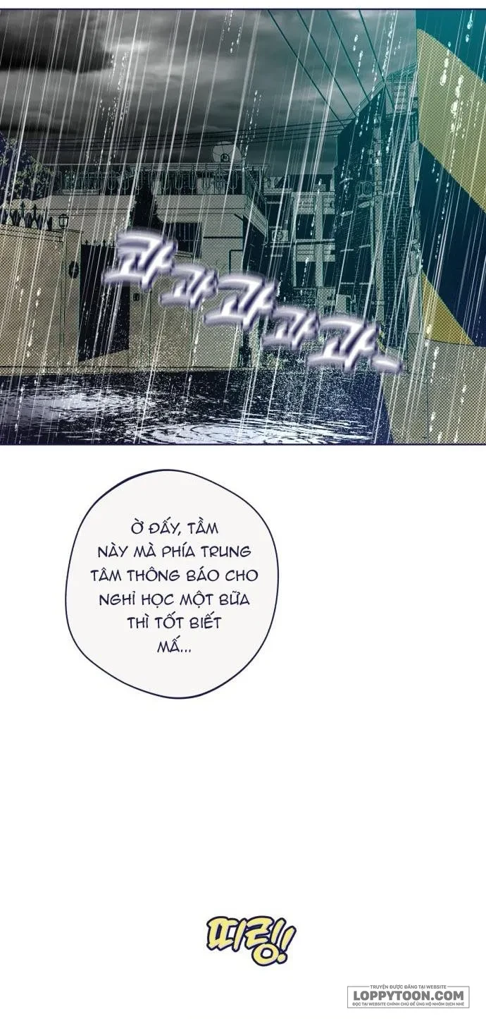 Trắc Nghiệm 4 Lựa Chọn Chapter 33 - 15