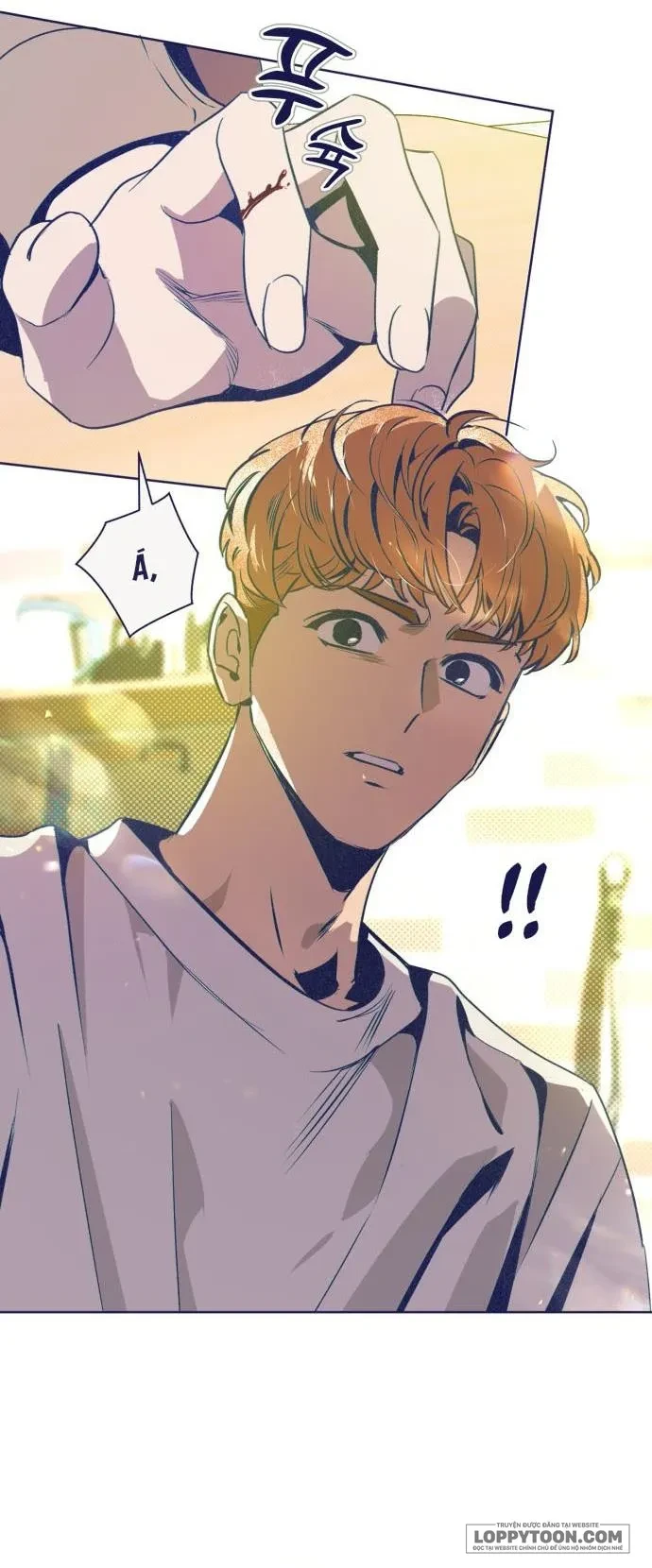 Trắc Nghiệm 4 Lựa Chọn Chapter 33 - 24