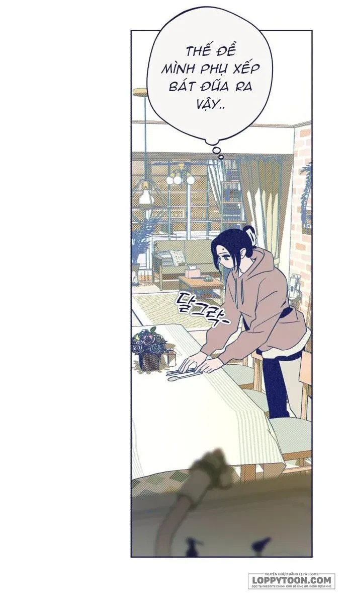 Trắc Nghiệm 4 Lựa Chọn Chapter 33 - 28