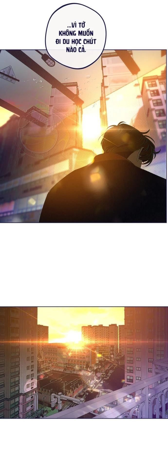 Trắc Nghiệm 4 Lựa Chọn Chapter  35 - 5