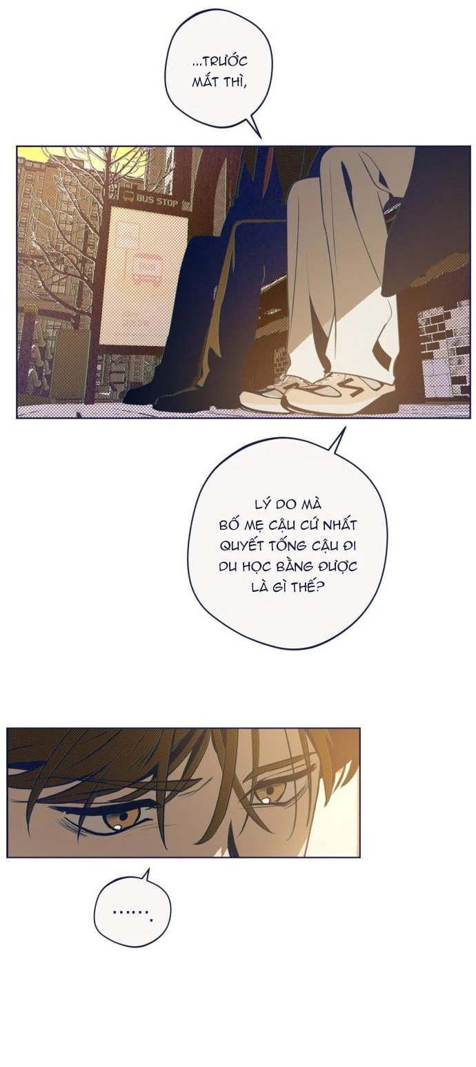 Trắc Nghiệm 4 Lựa Chọn Chapter  35 - 16
