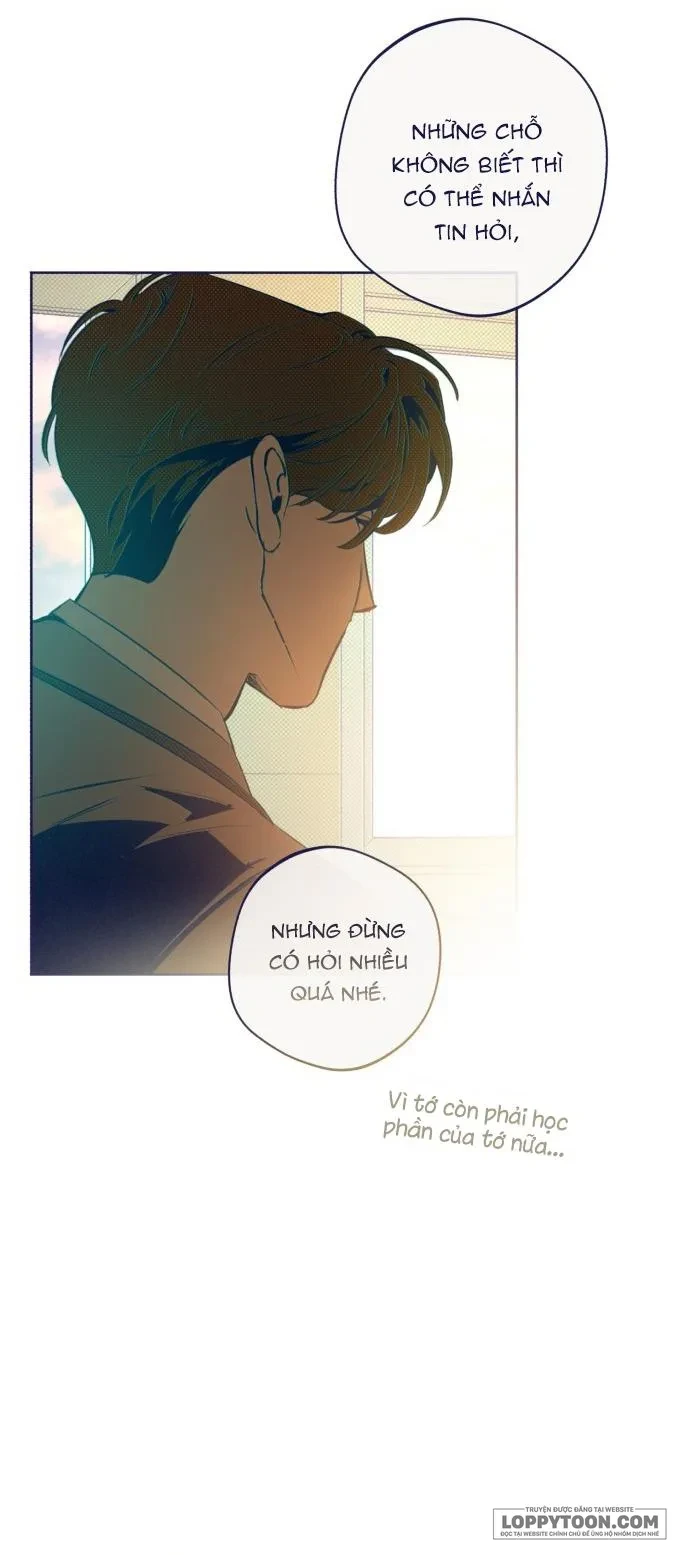 Trắc Nghiệm 4 Lựa Chọn Chapter 37 - 19