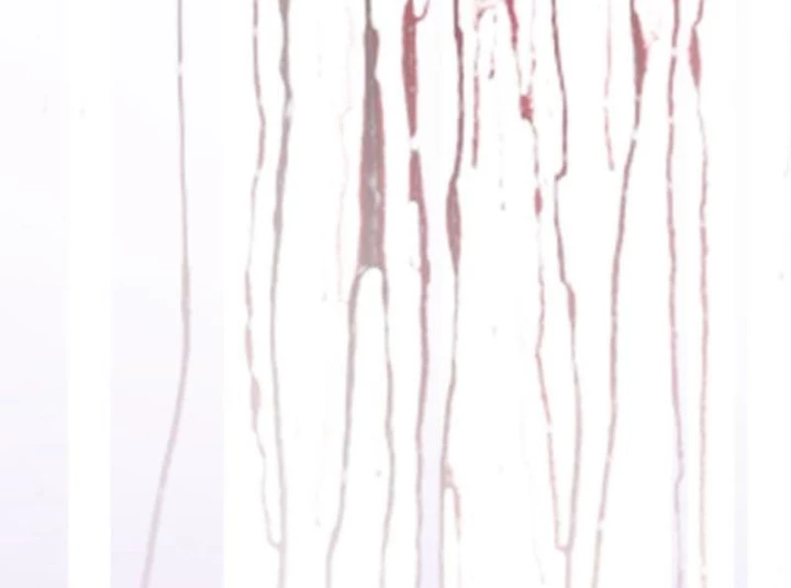 Nhân Vật Phản Diện Đại Sư Huynh, Tất Cả Các Sư Muội Đều Là Bệnh Kiều Chapter 238 - 118