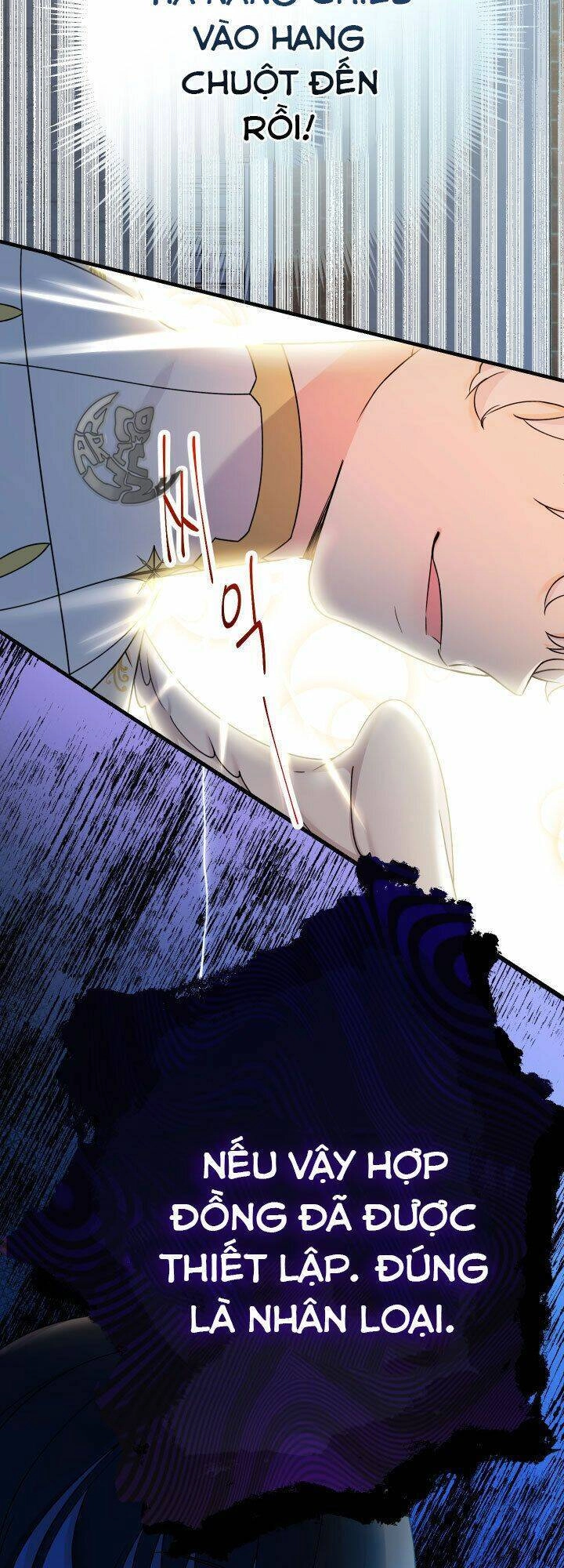 Tiểu Thư Tích Tiền Đi Bụi Chapter 1 - 64