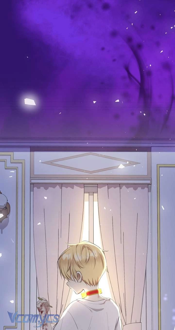 Tiểu Thư Tích Tiền Đi Bụi Chapter  67 - 80