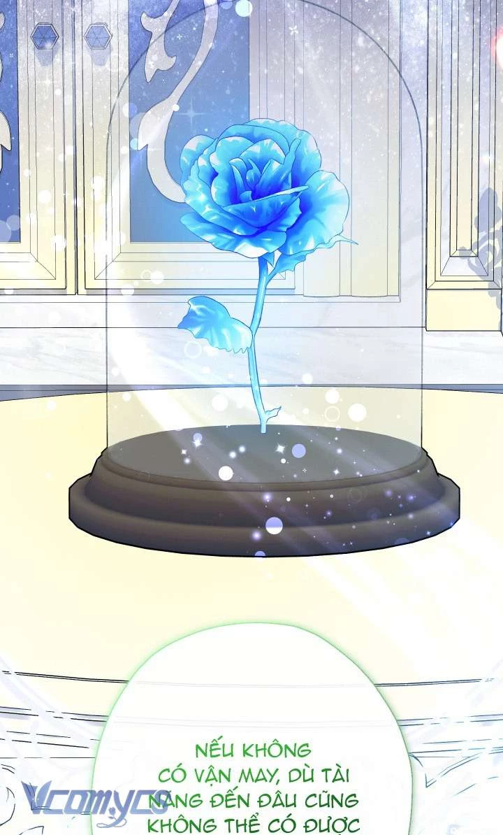 Tiểu Thư Tích Tiền Đi Bụi Chapter 74 - 31