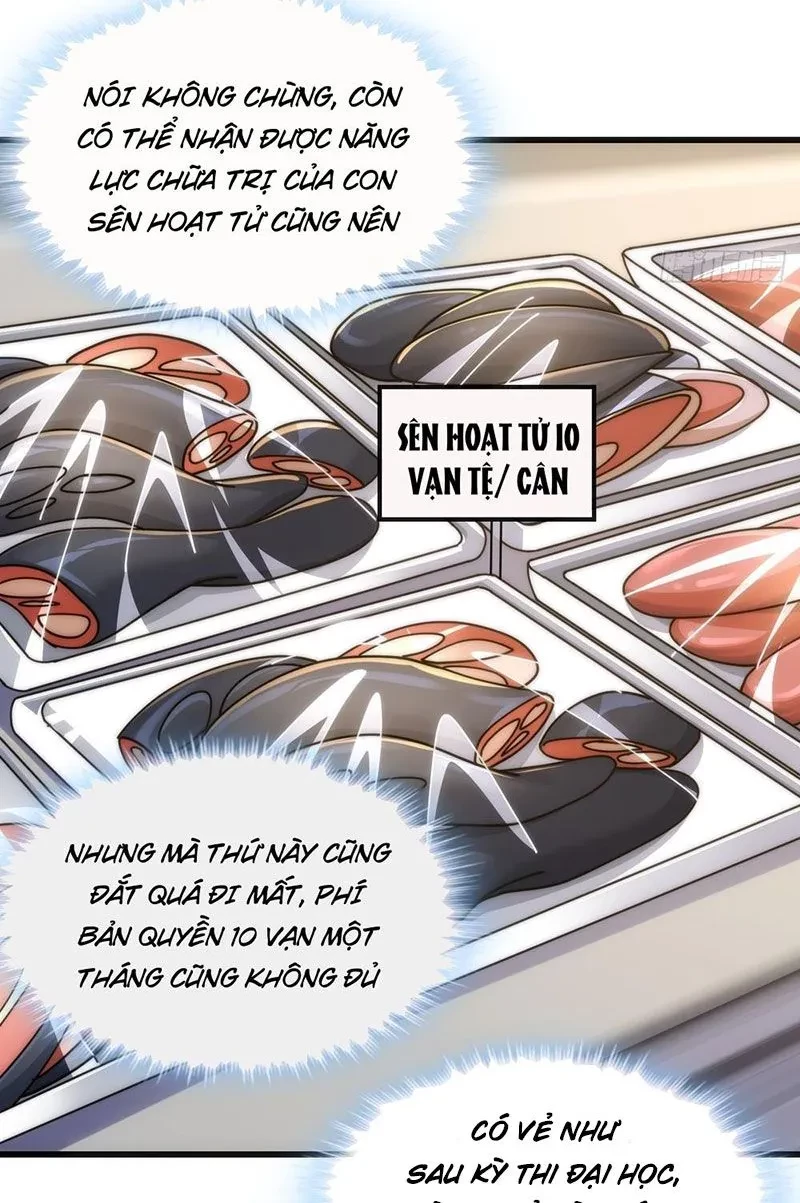 Tiến Hóa Vô Hạn Bắt Đầu Từ Con Số Không Chapter 27 - 22