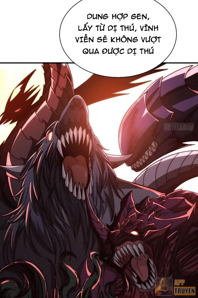 Tiến Hóa Vô Hạn Bắt Đầu Từ Con Số Không Chapter 33 - 21