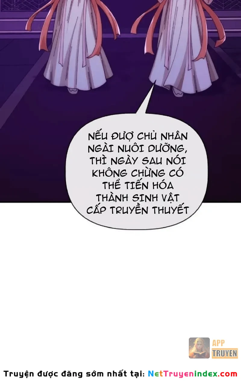 Tiến Hóa Vô Hạn Bắt Đầu Từ Con Số Không Chapter 73 - 42