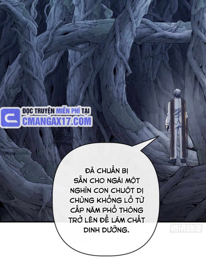 Tiến Hóa Vô Hạn Bắt Đầu Từ Con Số Không Chapter 103 - 16