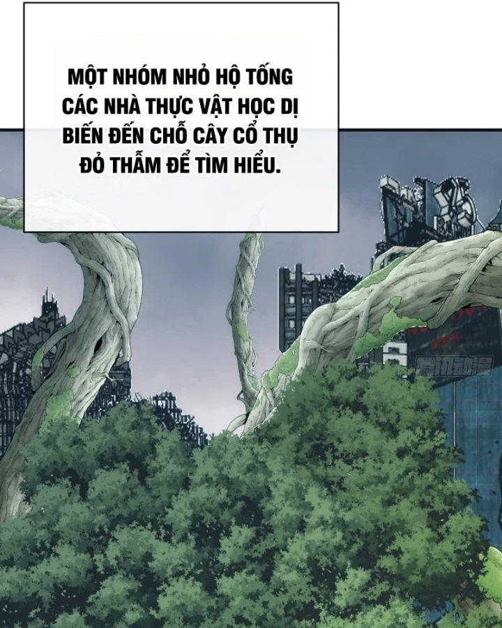 Tiến Hóa Vô Hạn Bắt Đầu Từ Con Số Không Chapter 107 - 50