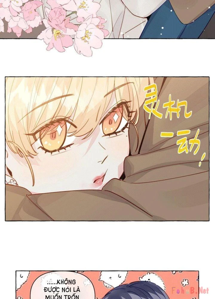 CẠM BẪY GÁI THẲNG Chapter 117 - 13