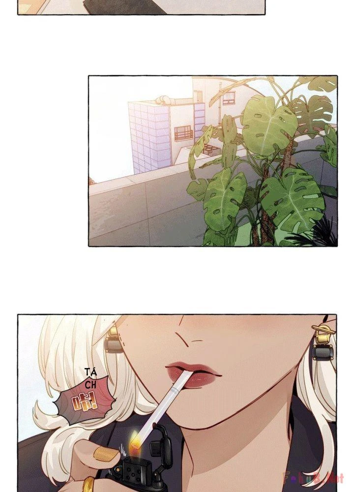 CẠM BẪY GÁI THẲNG Chapter 121 - 7