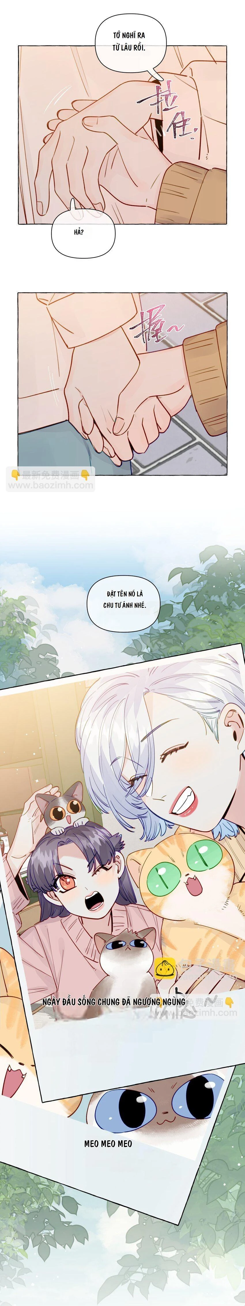 CẠM BẪY GÁI THẲNG Chapter 132 - 11
