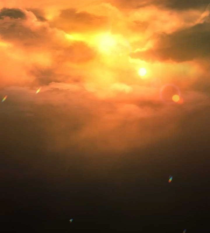 Trong Phủ Công Tước Có Con Chó Điên Chapter 23 - 95