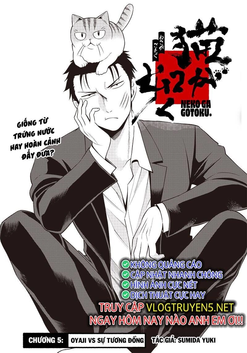 Đại Ca Băng Mèo Mướp Chapter 5 - 2