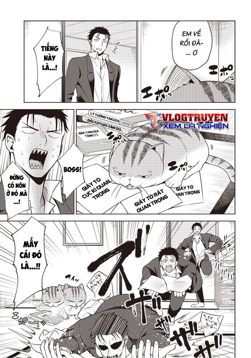 Đại Ca Băng Mèo Mướp Chapter 5 - 6