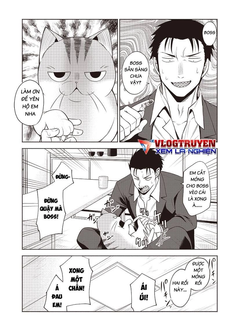 Đại Ca Băng Mèo Mướp Chapter 5 - 9