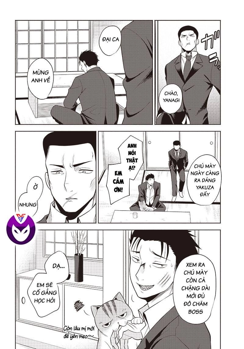 Đại Ca Băng Mèo Mướp Chapter 5 - 10