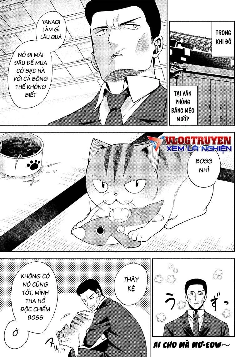 Đại Ca Băng Mèo Mướp Chapter 6 - 11