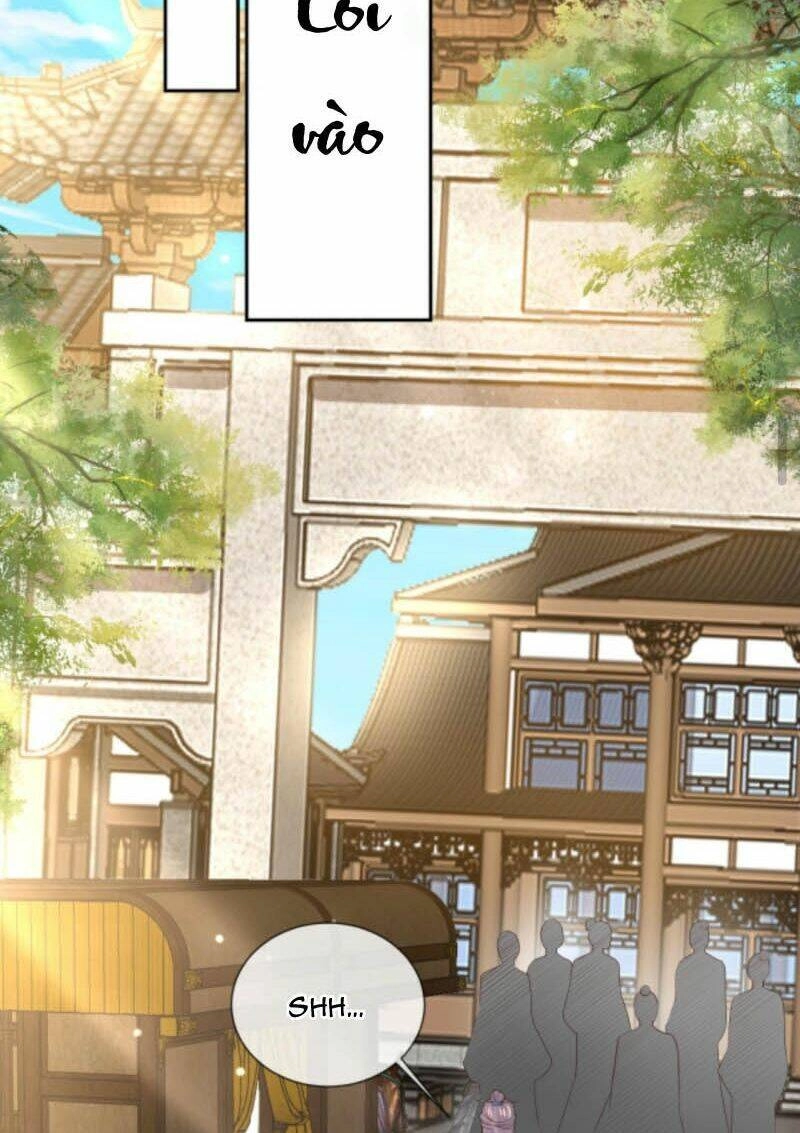 Sau Khi Không Ngừng Tìm Đường Chết, Ta Trở Thành Đế Tôn Vạn Người Mê Chapter 36 - 21