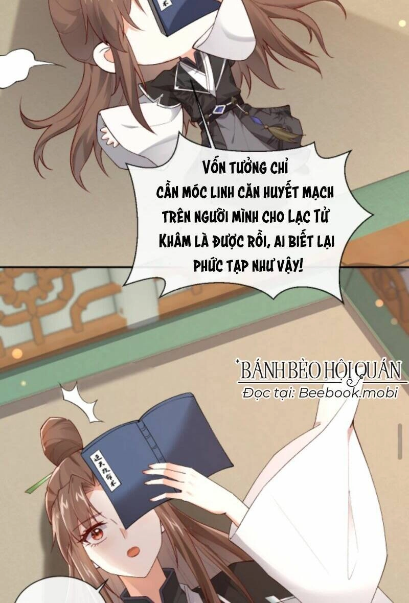 Sau Khi Không Ngừng Tìm Đường Chết, Ta Trở Thành Đế Tôn Vạn Người Mê Chapter 52 - 5