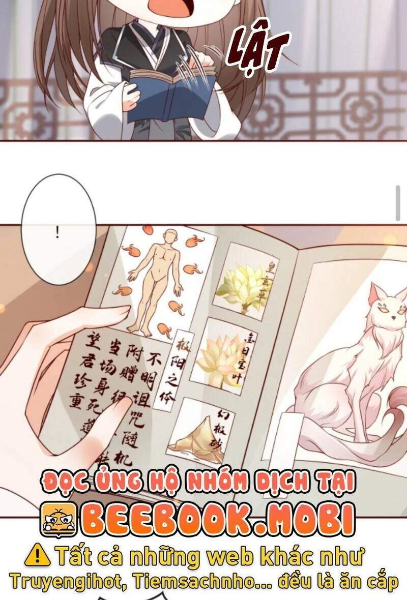 Sau Khi Không Ngừng Tìm Đường Chết, Ta Trở Thành Đế Tôn Vạn Người Mê Chapter 52 - 9