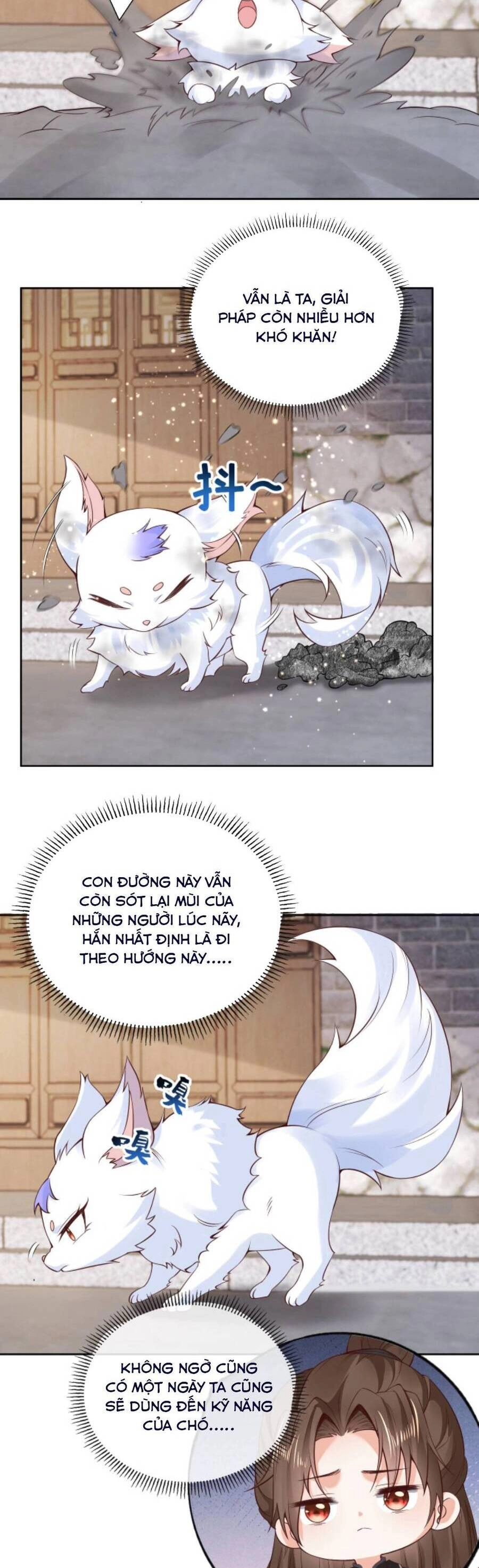 Sau Khi Không Ngừng Tìm Đường Chết, Ta Trở Thành Đế Tôn Vạn Người Mê Chapter 75 - 5