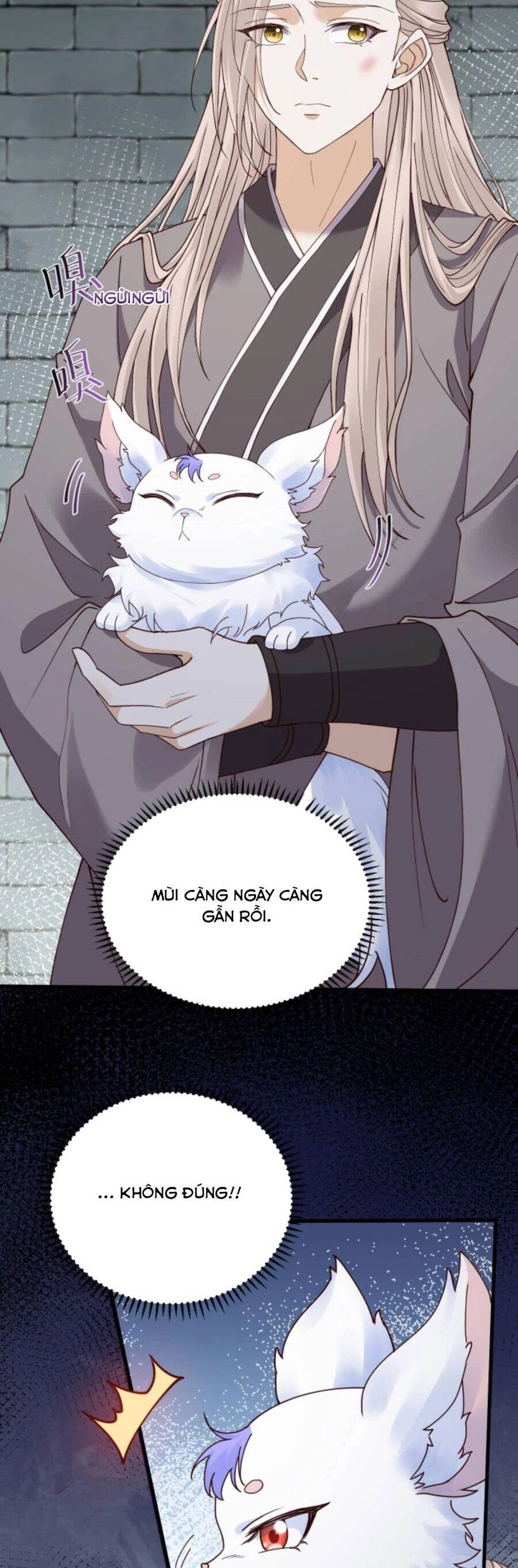 Sau Khi Không Ngừng Tìm Đường Chết, Ta Trở Thành Đế Tôn Vạn Người Mê Chapter 89 - 6