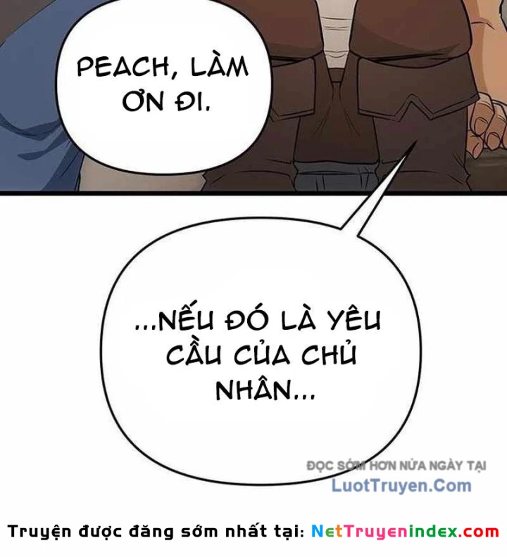 Thủ Hộ Thành Bằng Quái Vật Thuần Hóa Chapter 11 - 170