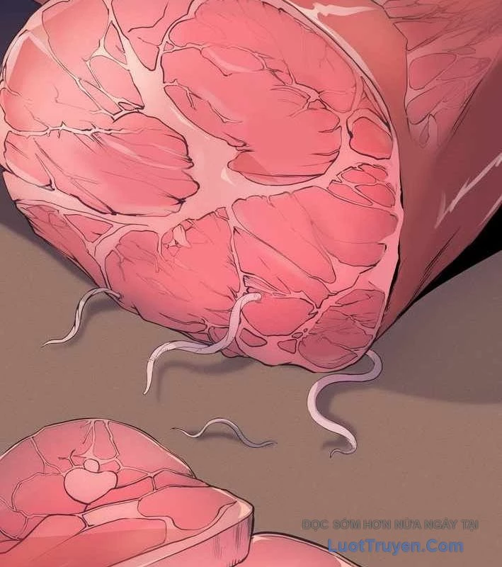 Thủ Hộ Thành Bằng Quái Vật Thuần Hóa Chapter 8 - 64