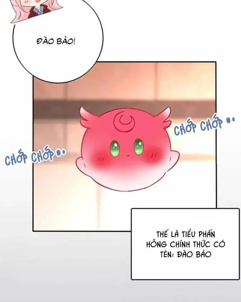 Dương Gian Bách Lý Cẩm Chapter 232 - 12