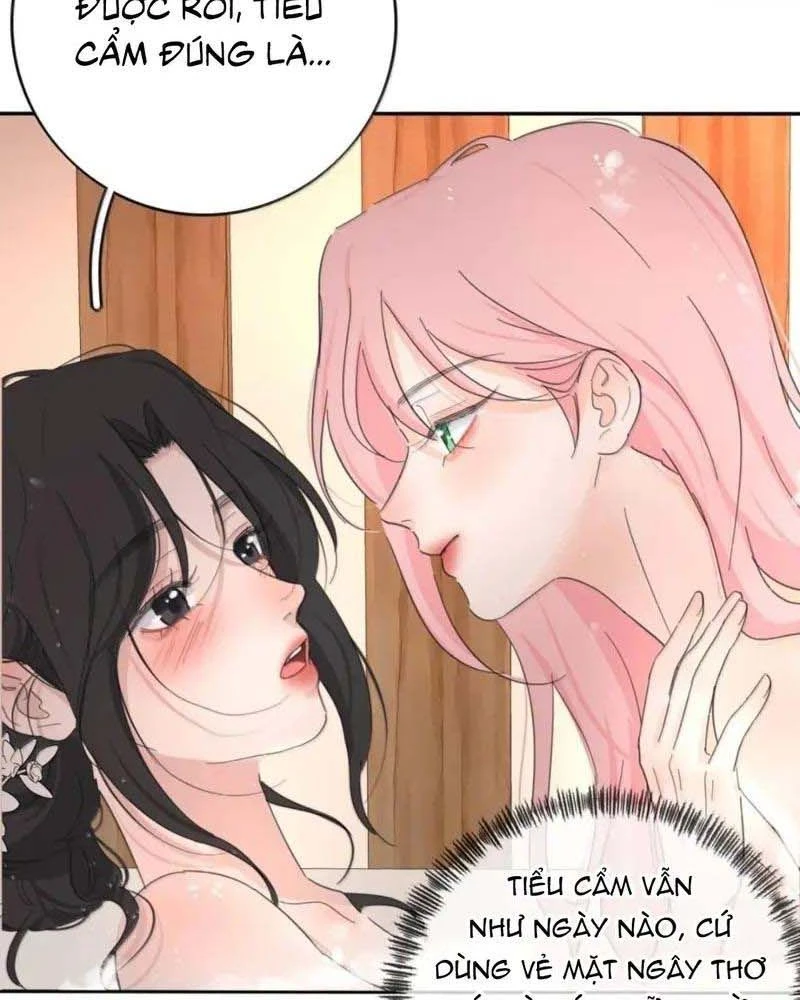 Dương Gian Bách Lý Cẩm Chapter 233 - 8