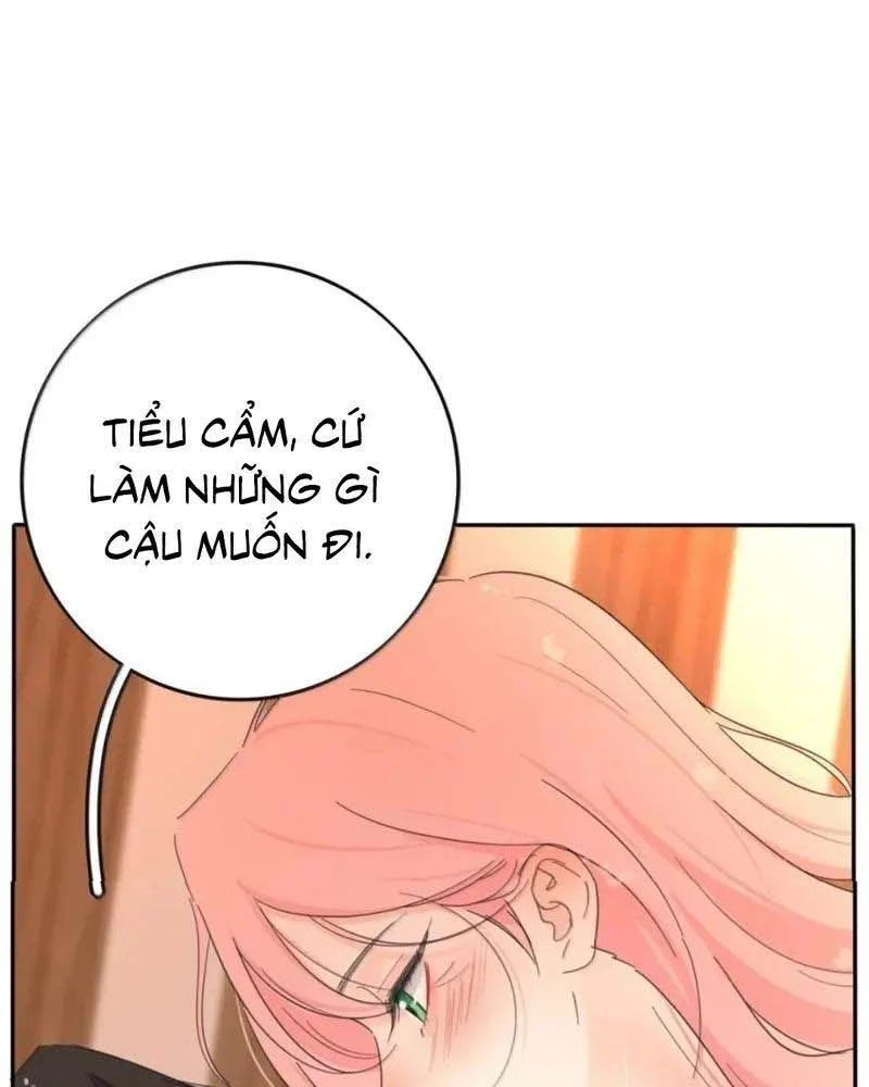 Dương Gian Bách Lý Cẩm Chapter 233 - 19