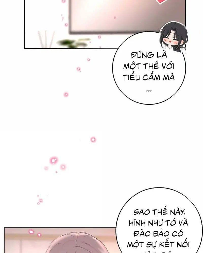 Dương Gian Bách Lý Cẩm Chapter 234 - 12