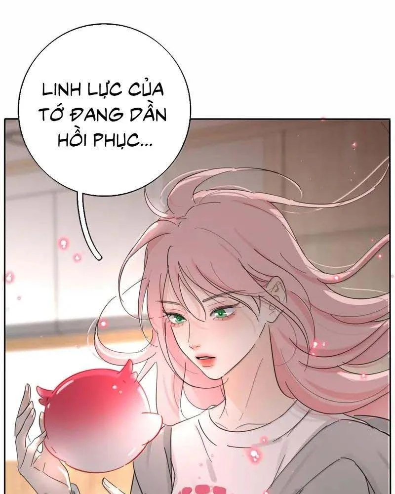 Dương Gian Bách Lý Cẩm Chapter 234 - 15