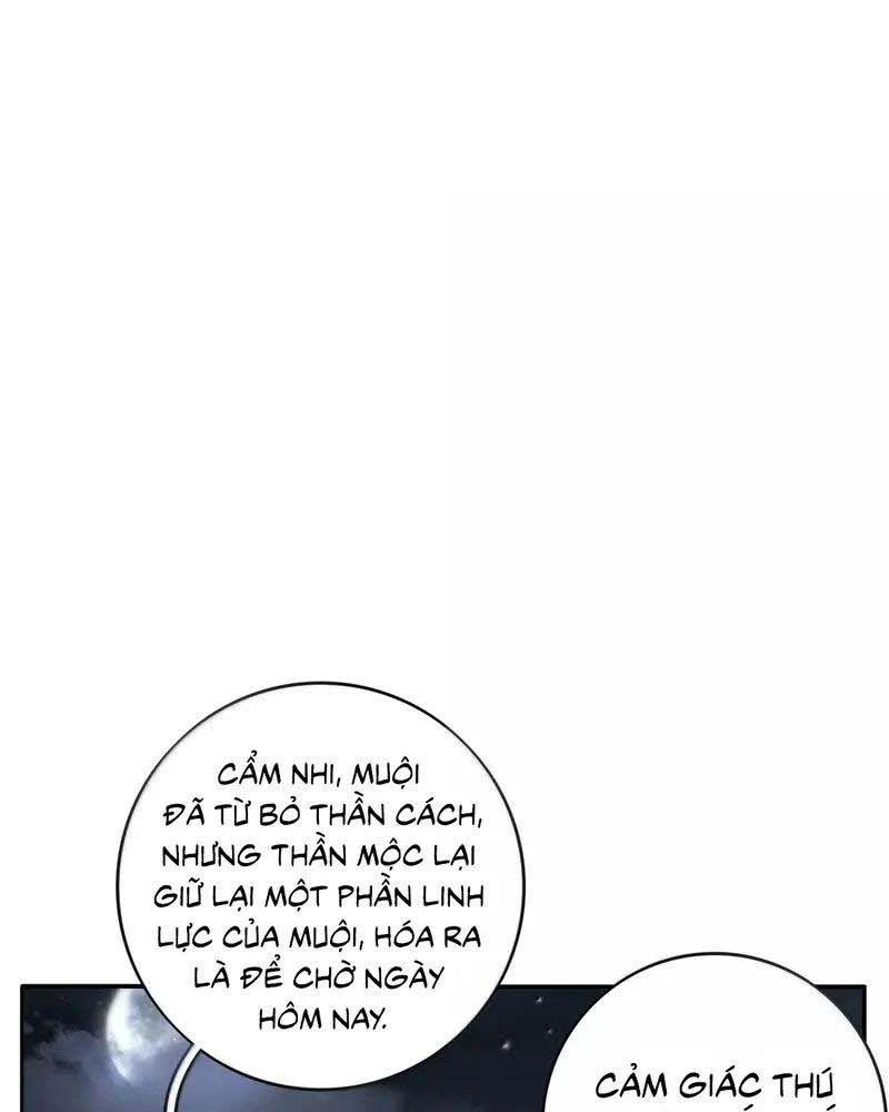 Dương Gian Bách Lý Cẩm Chapter 237 - 63