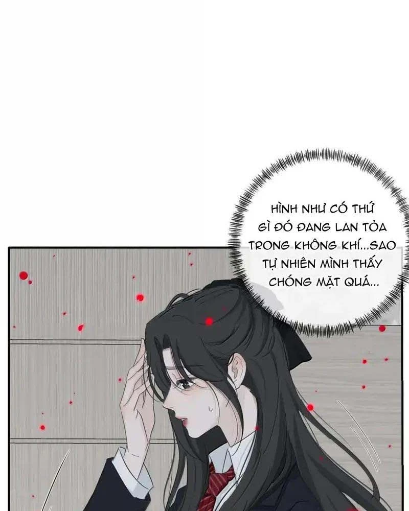 Dương Gian Bách Lý Cẩm Chapter 238 - 52