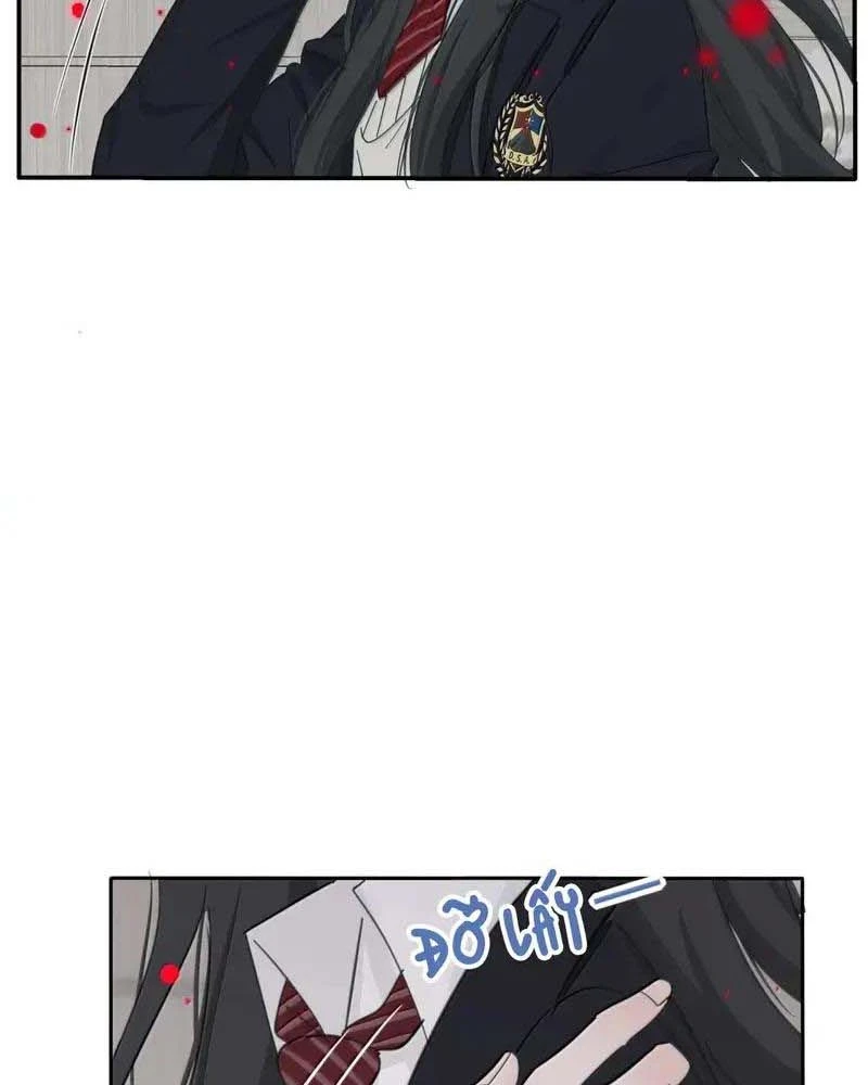 Dương Gian Bách Lý Cẩm Chapter 238 - 53