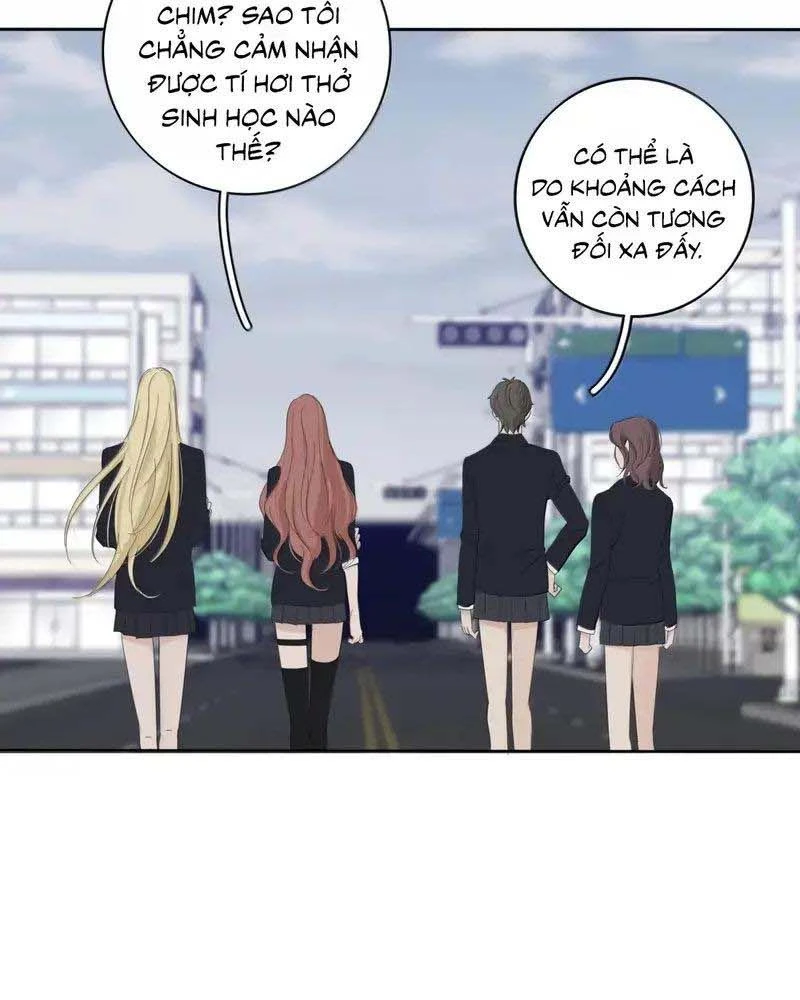 Dương Gian Bách Lý Cẩm Chapter 240 - 8